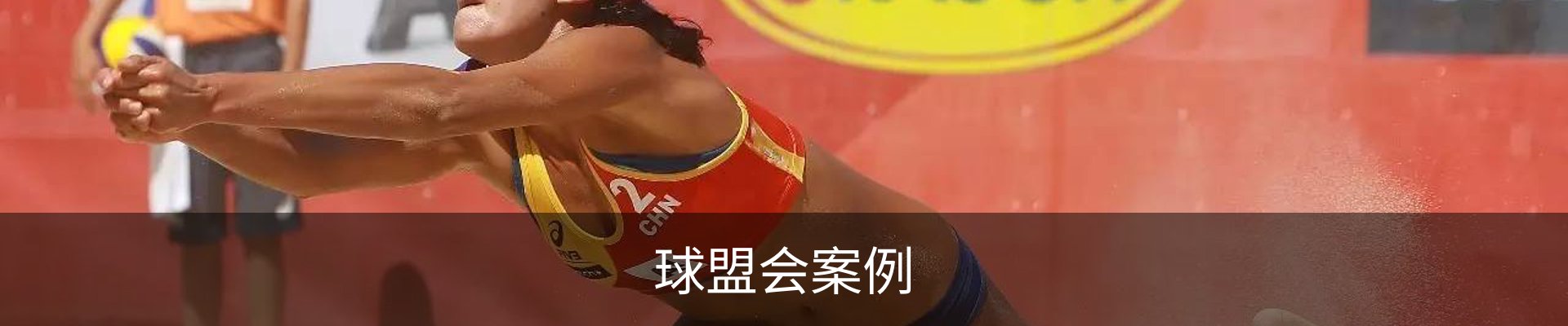球盟会案例